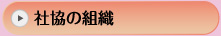 2level_left2