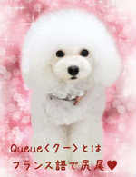 Salon de Queue（サロン・ド・クー）
