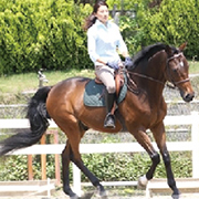 服部緑地乗馬センター