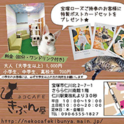 ビーンズポット　Beans Pot